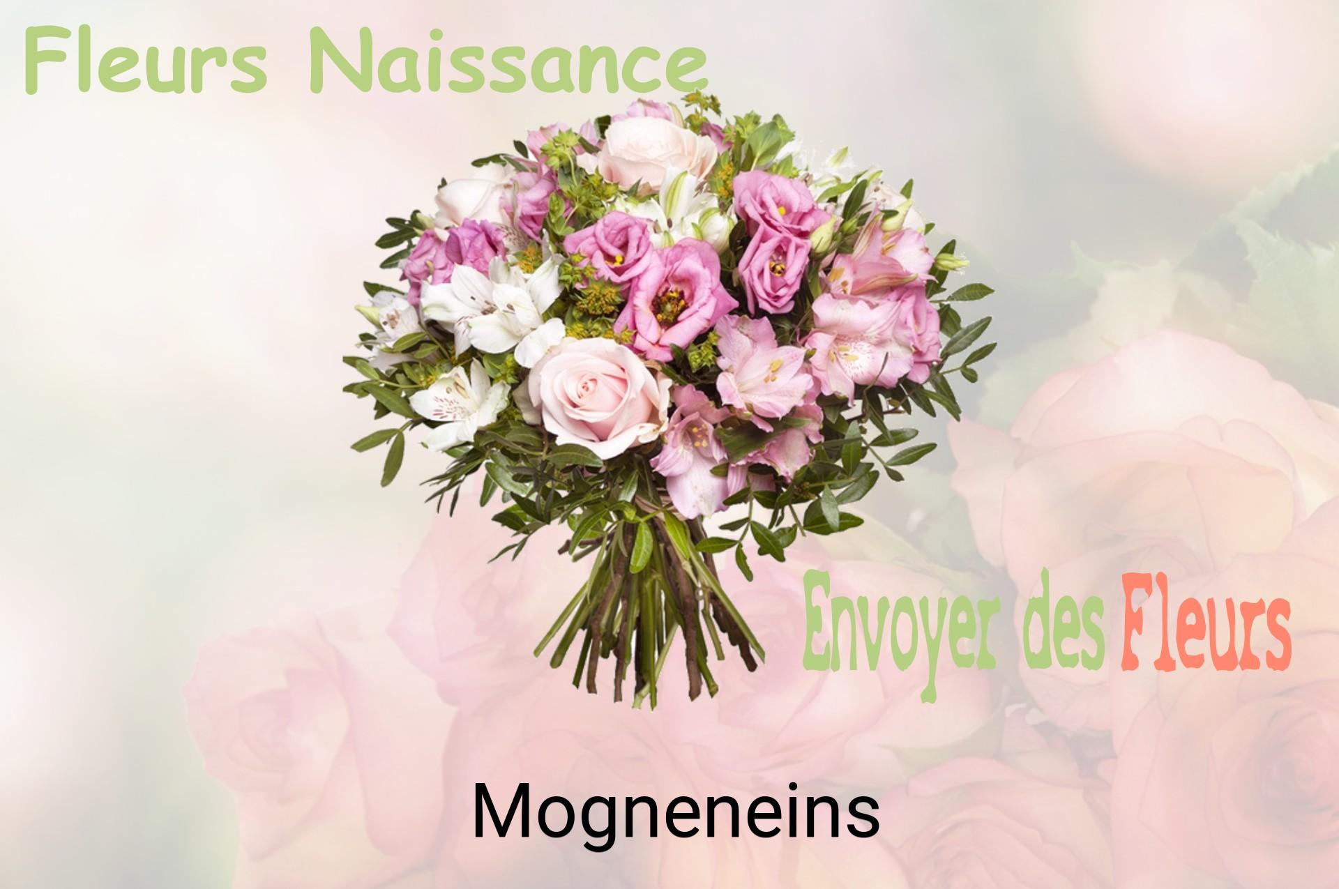 Bouquet de fleurs de naissance livré à Mogneneins