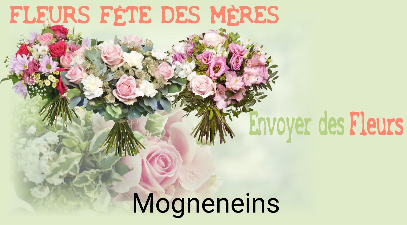 Bouquet de Fête des Mères livré à Mogneneins